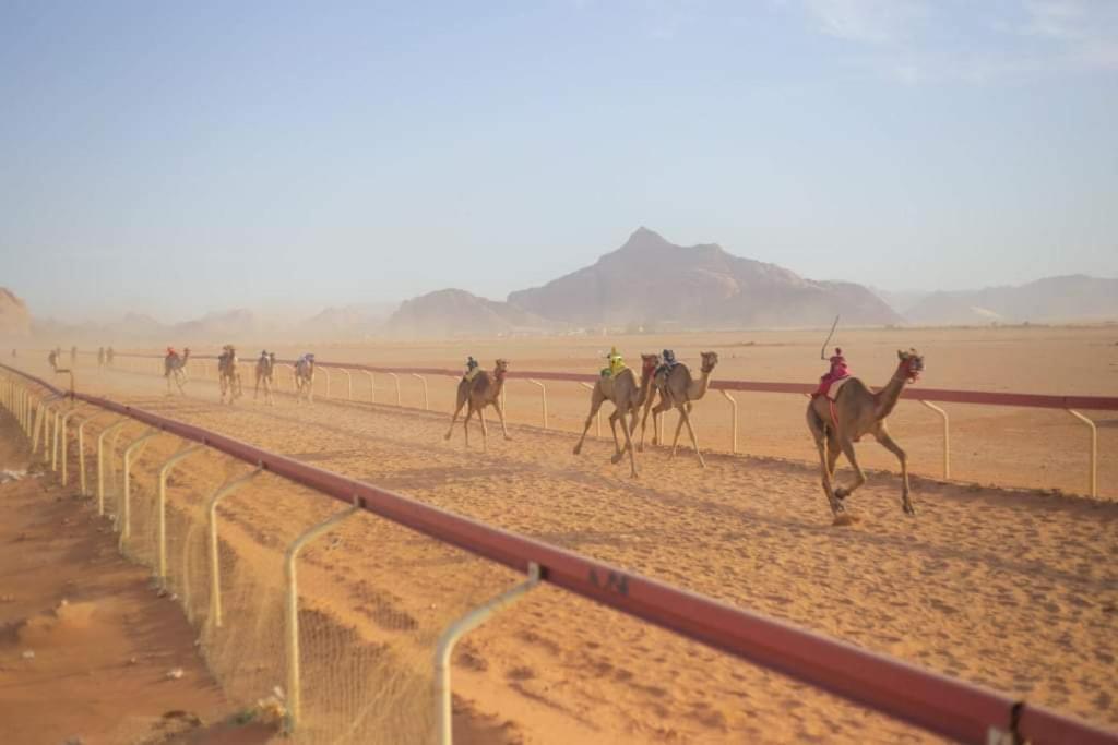 Martian Desert Camp Wadi Rum Buitenkant foto