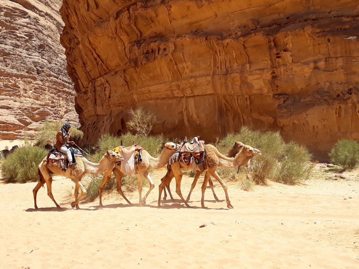 Martian Desert Camp Wadi Rum Buitenkant foto