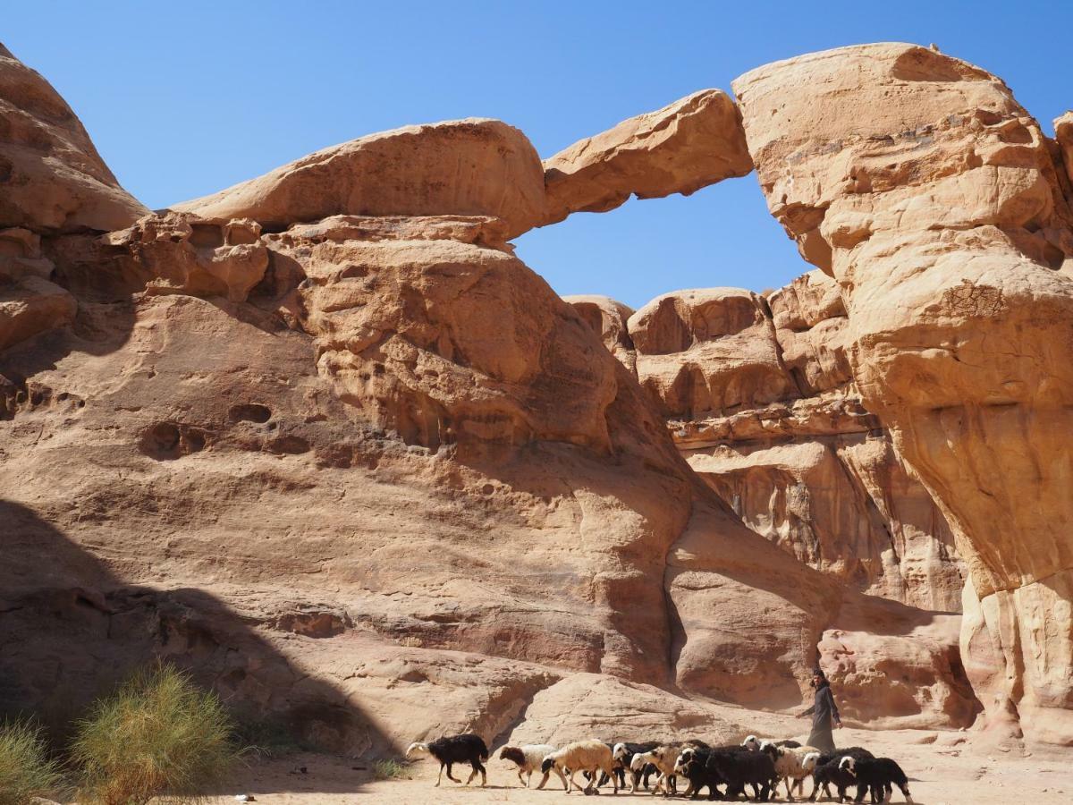 Martian Desert Camp Wadi Rum Buitenkant foto